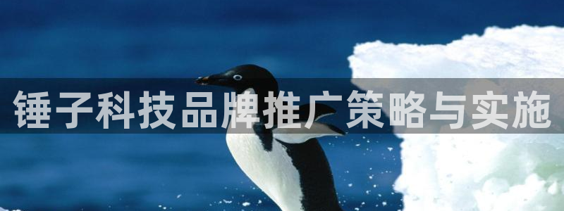 金年会pg麻将胡了