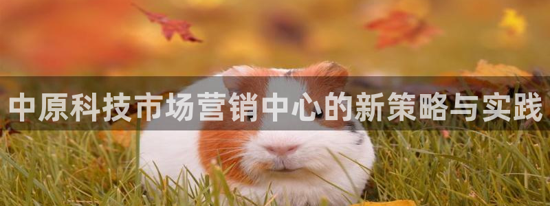金年会体育有限公司