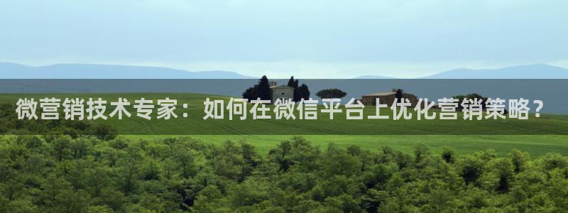 金年会ivp