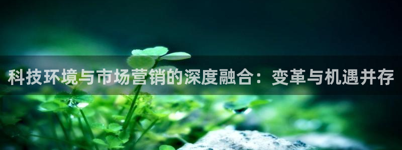 金年会官方下载app