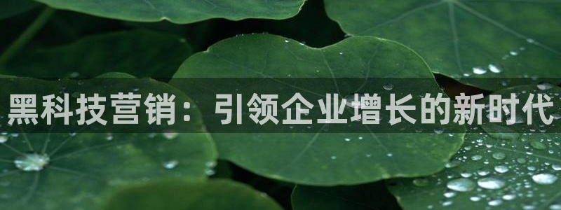 金年会官方入口2023