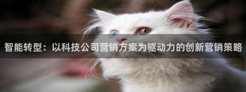金年会官方在线登录网址是多少号