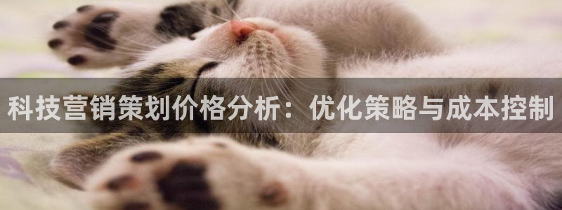 jinnianhui金年会