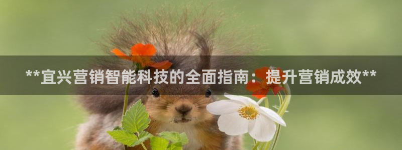 金年会下载安卓
