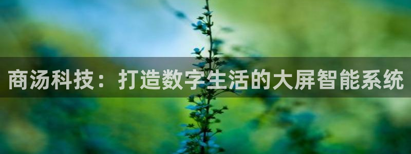 金年会体育登入入口
