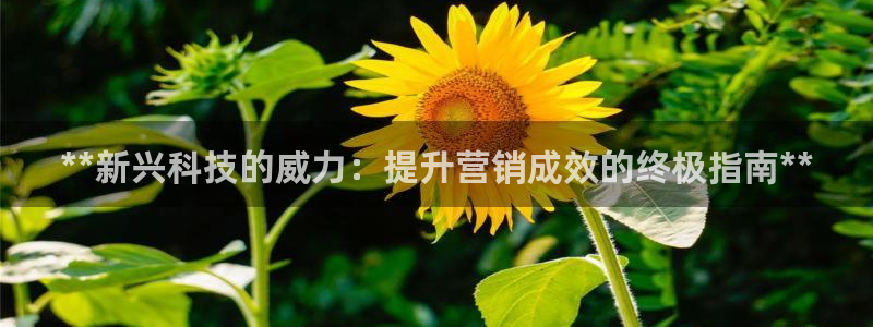 金年会能赢吗