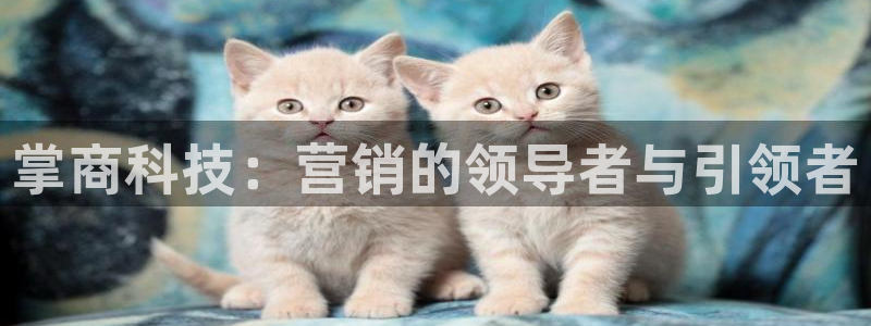 金年会官方入口2023