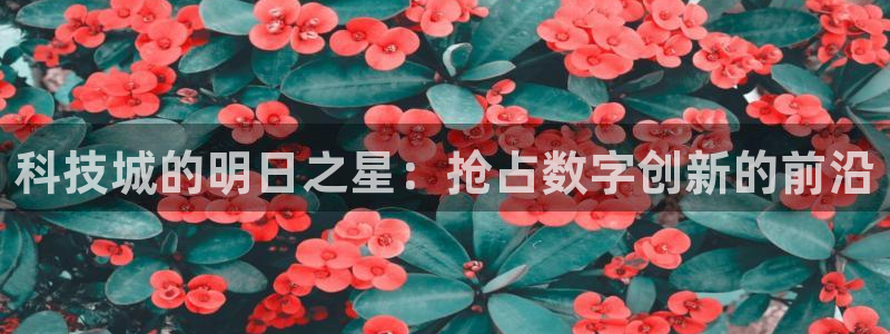 金年会app下载官网登录不了