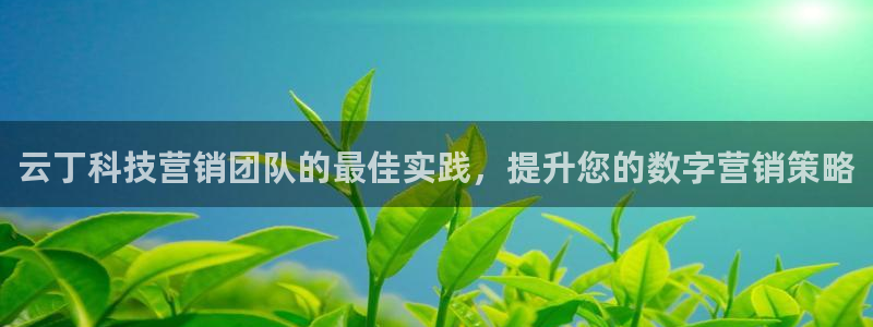 金年会电子平台