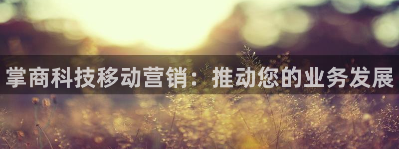 金年会官方在线入口网址是多少号