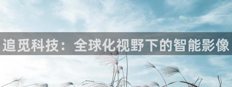 金年会pg官网