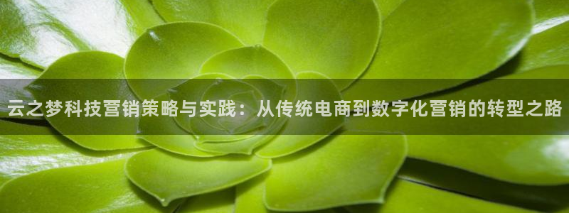 金年会体育平台官网app