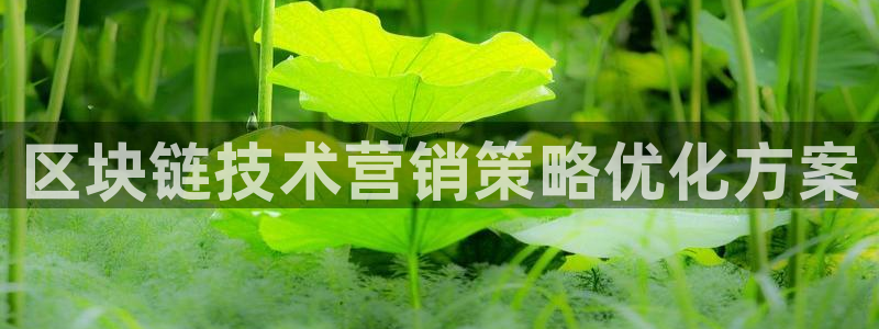 金年会 金字招牌诚信至上欢迎您