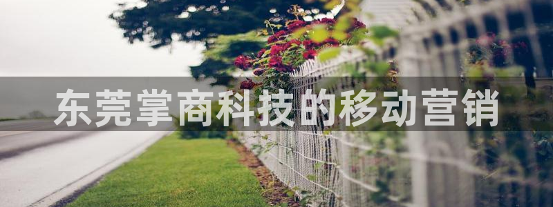 金年会官方网站入口app