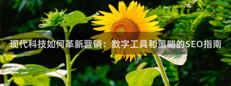 金年会 金字招牌诚信至上网址