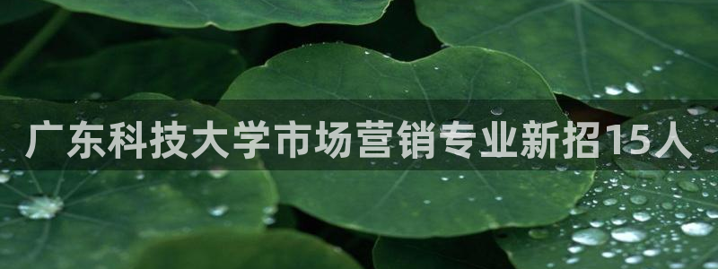 金年会官方登录入口手机版app