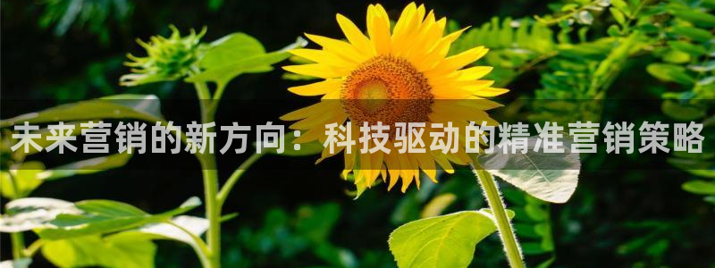 金年会体育怎么样