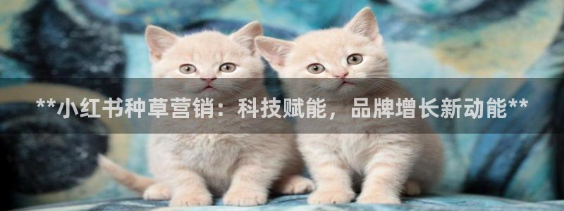 金年会金字招牌诚信人口
