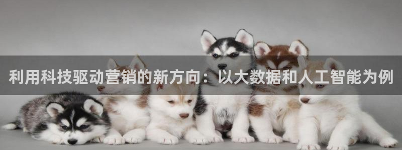 金年会app官方网站
