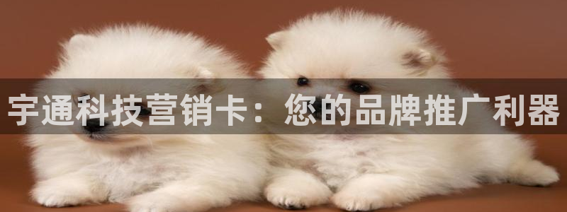 金年会官方在线入口网址查询