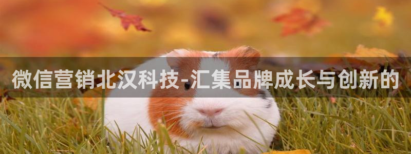 金年会金字招牌至上