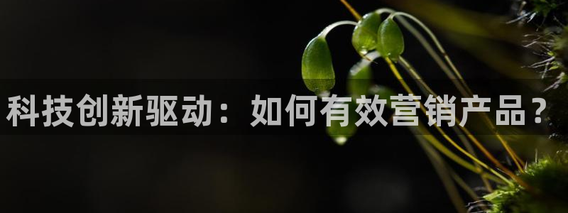 金年会体育app下载官网苹果