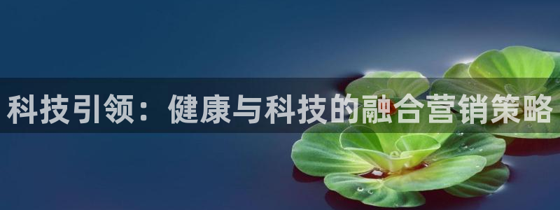 金年会官方在线入口网站查询