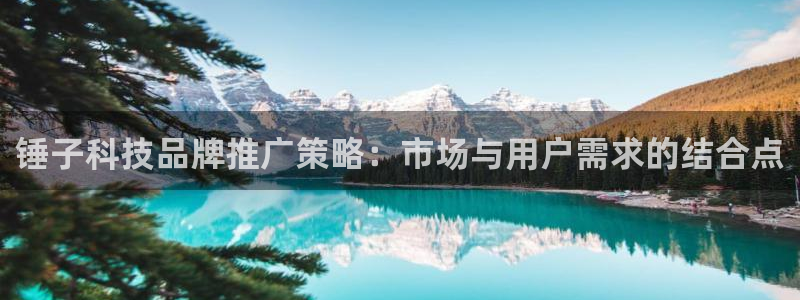 金年会电子游戏怎么玩