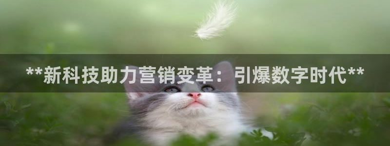 金年会金字招牌至上技术有限公司