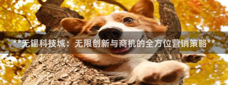 金年会网站