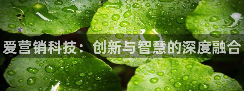 金年会官方在线入口网址大全