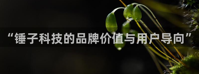 金年会 金字招牌诚信至上 | 首页(欢迎您)