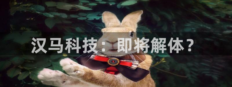 金年会官方网址查询