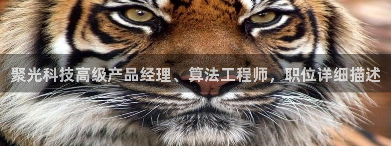 金年会pg麻将胡了