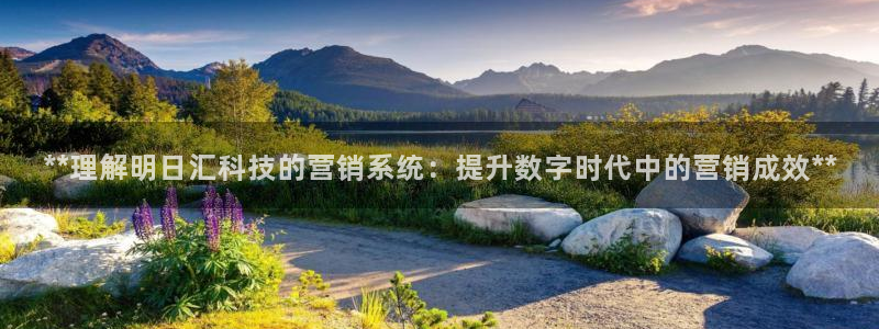 金年会网站多少