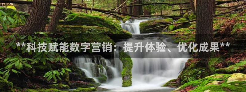 金年会官方登录入口网址是多少