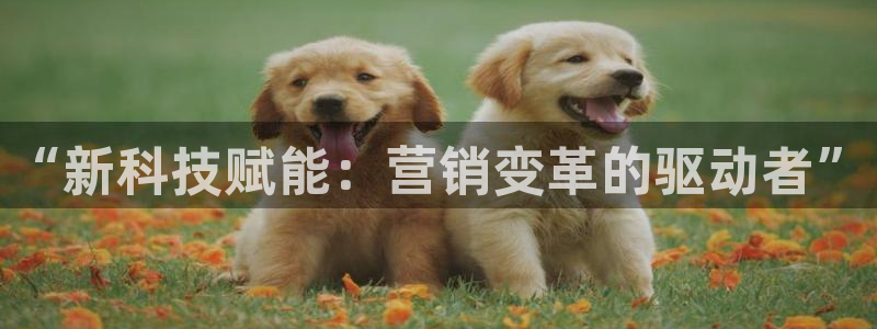 金年会官方入口APP