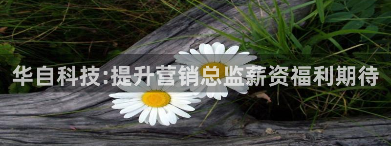 金年会体育平台官网app