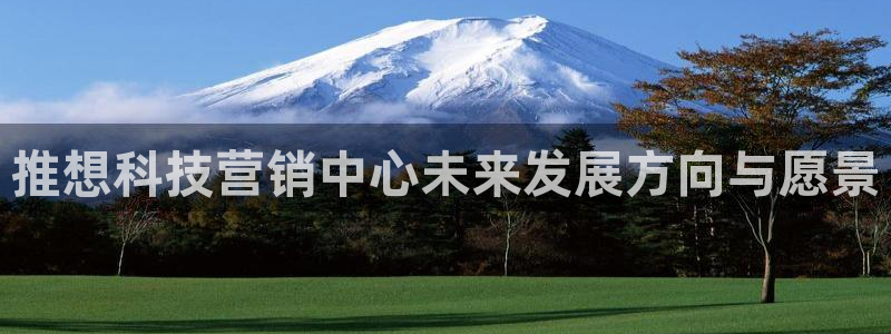 金年会ivp
