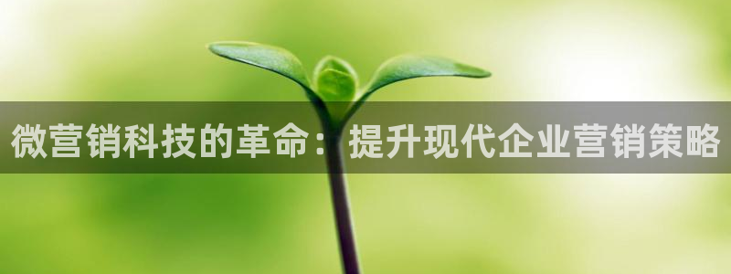 金年会体育app属于正规平台吗