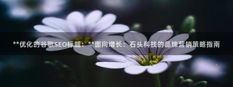 金年会电子官网下载