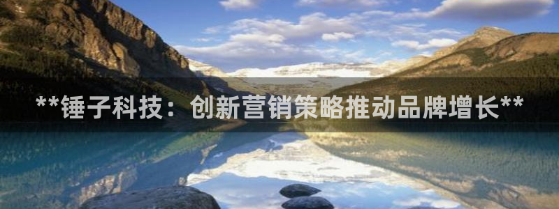 金年会体育平台合法吗