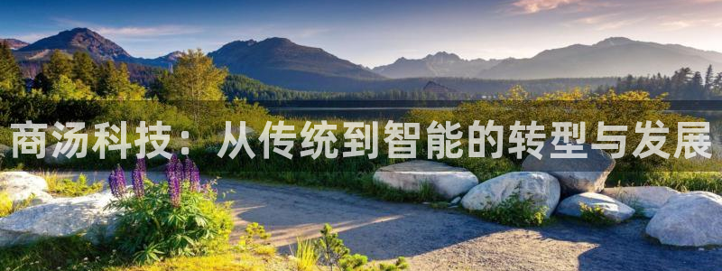 金年会平台真他妈坑人