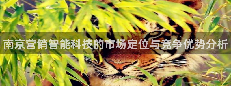 金年会官方入口app