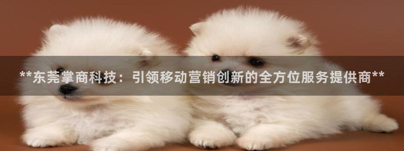 金年会app官网