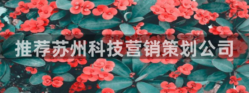 金年会网址导航