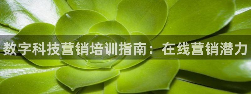 金年会金字招牌信誉至上