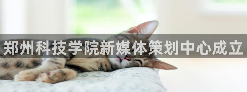 金年会平台怎么样