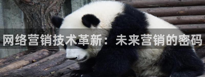 金年会荣誉至上