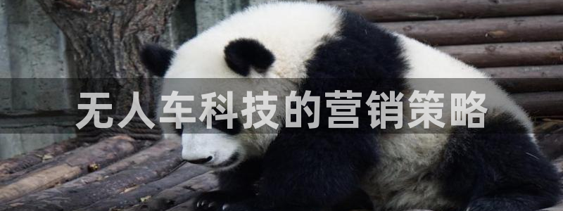 金年会官方娱乐app下载安装
